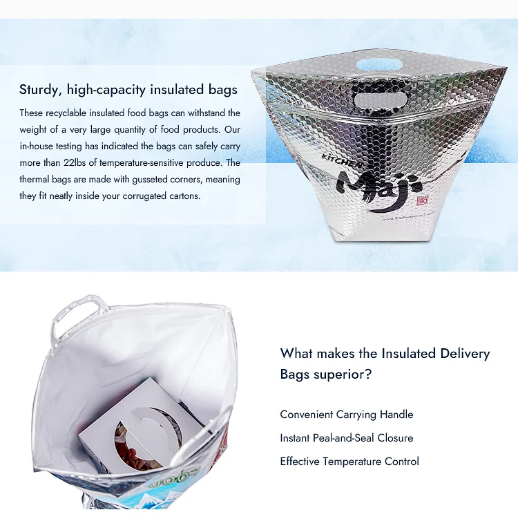 Custom Size Sac Isotherma Epe Foam Zipper Metallic Foil Thermal