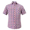 Red Navy Small Plaid