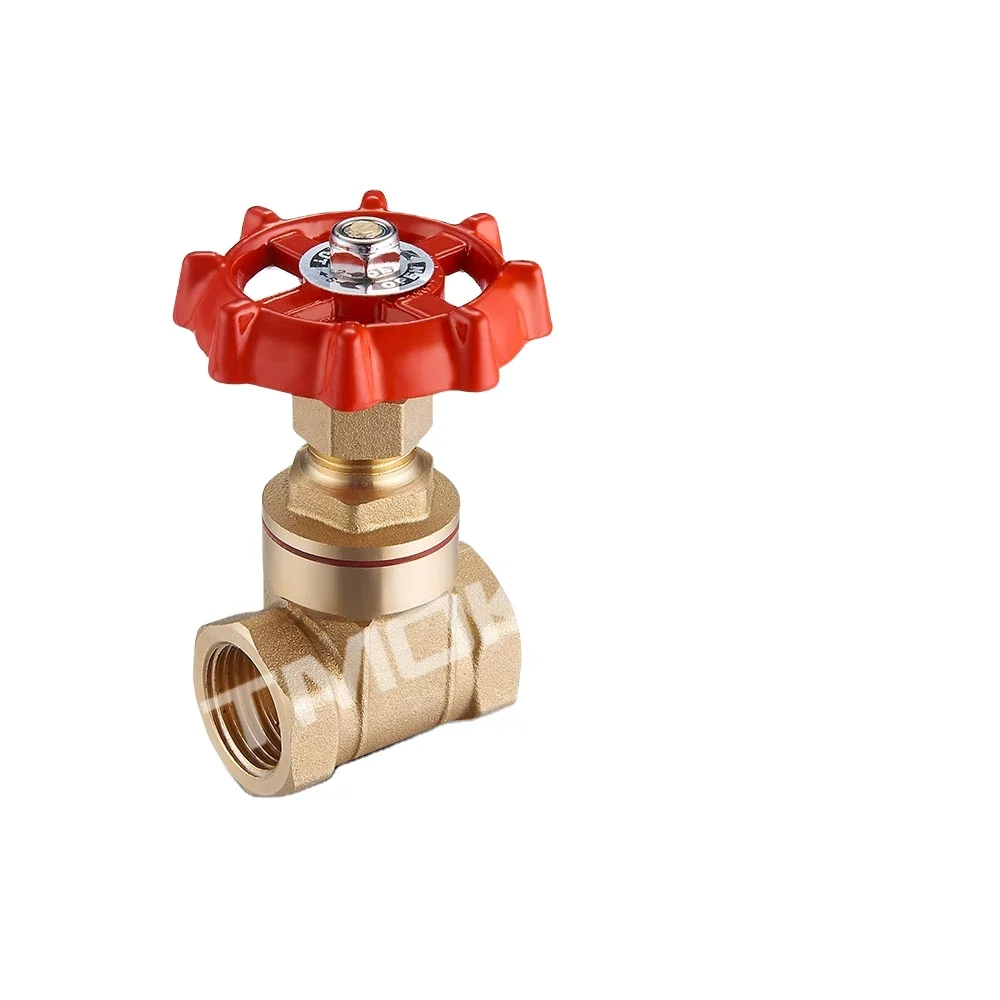 G3/4 Stainless Steel Rotation Sluice Valve BSPP Free Valve for Water Oil Gas Xuuyuu DN20 Gate Valve 