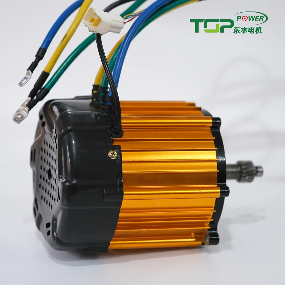 Motor 1500w Cy Gold Motor 1000w Bldc E Rickshaw Motor 1000W, 1100W