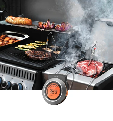 Garnen 160FT Bluetooth Wireless Meat Thermometer with 3 Temperature Probes,  (Accurate & Instant Read) Smart Digital Cooking BBQ App for Grilling Oven  Kitchen Food Smoker - Support iOS & Android 