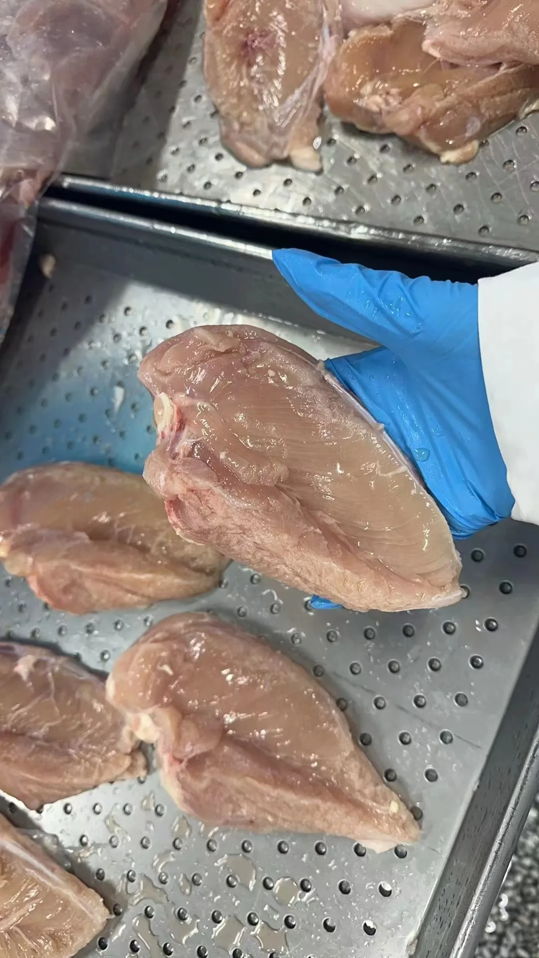 IQF Chicken Breast