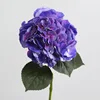 Purple #11