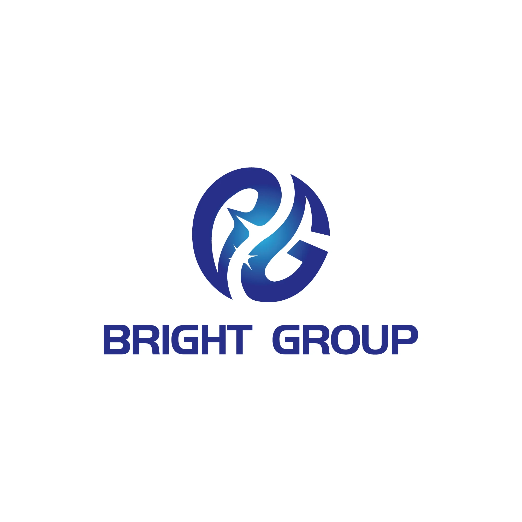 Descripción general de la empresa - Shandong Bright Group Metal Tech Co ...