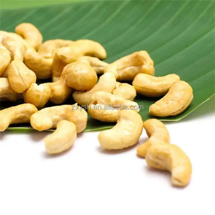 Healthy Cashews,A Source Of Protein,Vitamins And Minerals,The Goto,Oil
