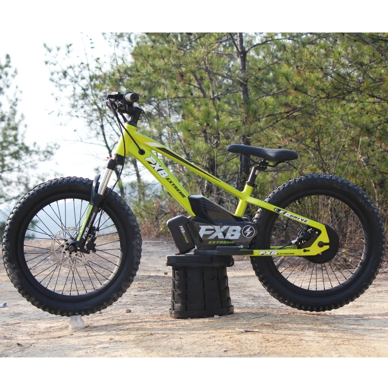 Indiamart Bicycle 16 Inch Frame FXB Kids' Balance Bike Fun Safe