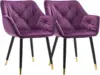VIOLETA