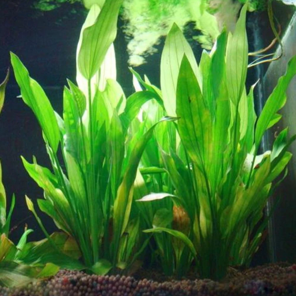 Plastique artificiel Eau Herbe Pour aquarium de poissons Plante verte Ornement