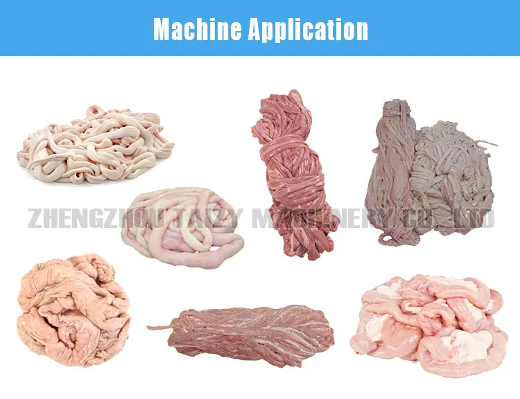 Industrial Pig Intestine Cleaning Machine Animal Goat Intestine Casing