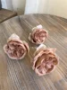 3 heads Austin