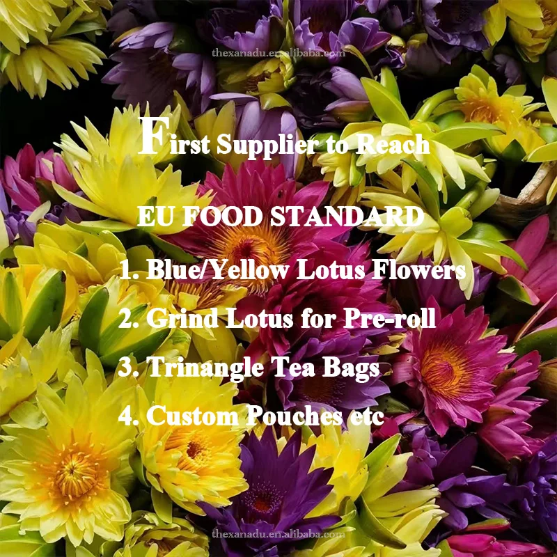 Органические синие цветы лотоса египетские индивидуальные Саше Натуральные Сушеные Nymphaea Caerulea синий чай с лилией 5A сорт | Рынок ЕС соответствует