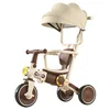 push rod + backrest + guardrail+Sunshade