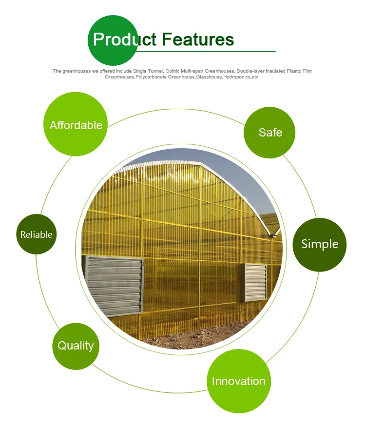Agricultural Equipment Greenhouses With Hydroponics System Buy
