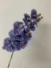 Pourpre