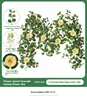 Flower cluster brocademoney flower vine