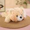 pequeño oso