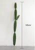 145 cm