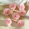 Rosa coreano A6