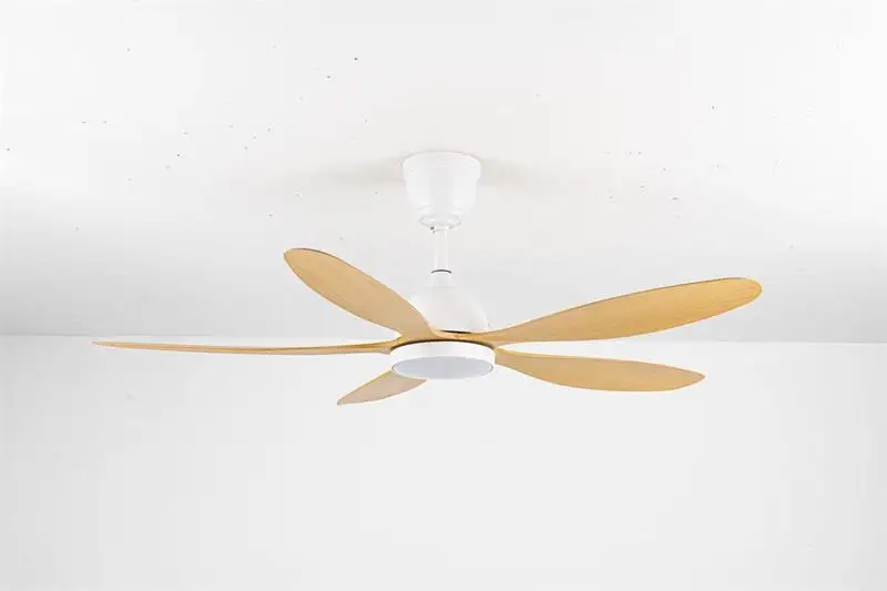 Malaysia Hot Sale Silent 56 Inch 55W DC Copper Motor Five Indoor Ceiling Fan for Living Room