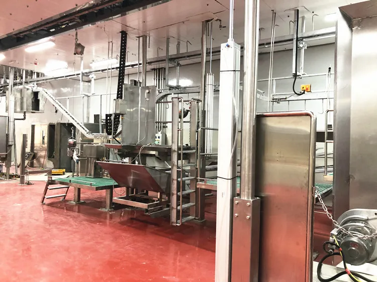 Modern slaughterhouse fully automatic halal cattle slaughtering line turnkey project