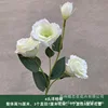 4 stems lisianthus