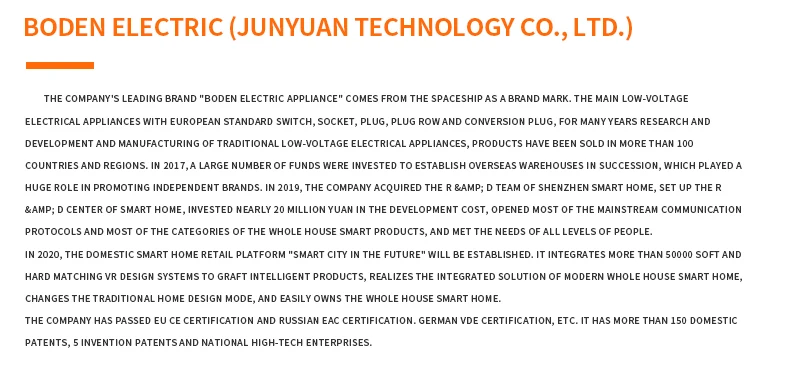 Wenzhou Boden Electric Co., Ltd. 2