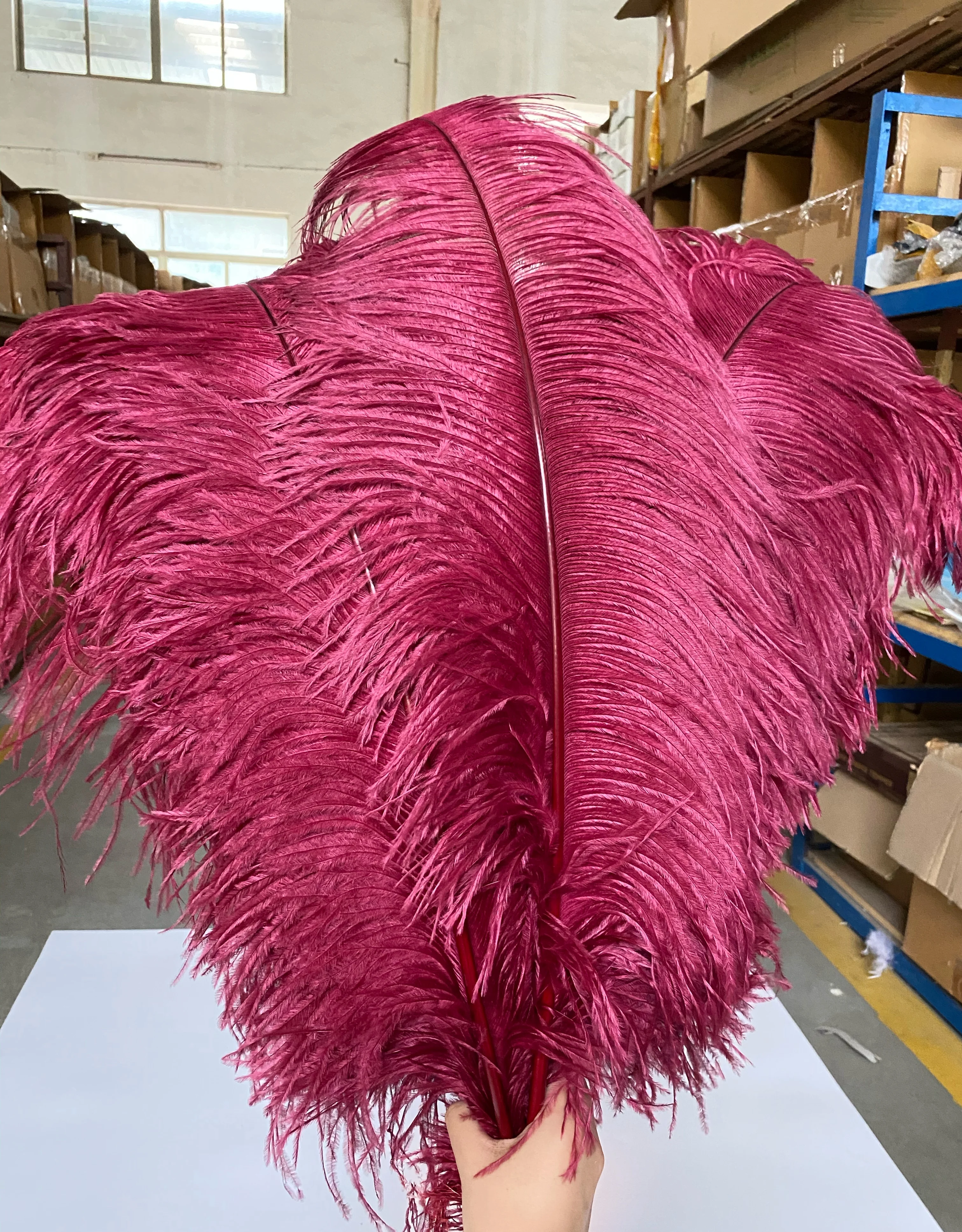 Большое белое перо страусиного дерева для