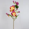 Purple Yellow Bicolor
