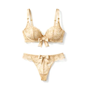 Top Sexy Underwear with Chic Decorative Oversized Satin Bows Luxurious Lace Overlay Women Lingerie for Sexy Panties Wholesale