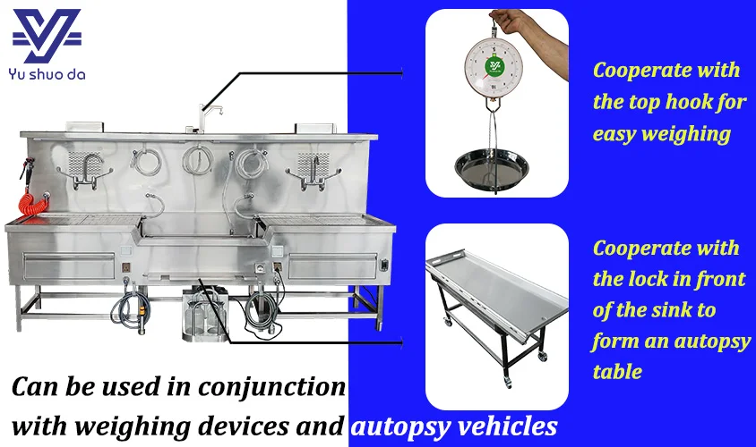 wall mounted autosy sinks