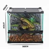 Pet climbing tank