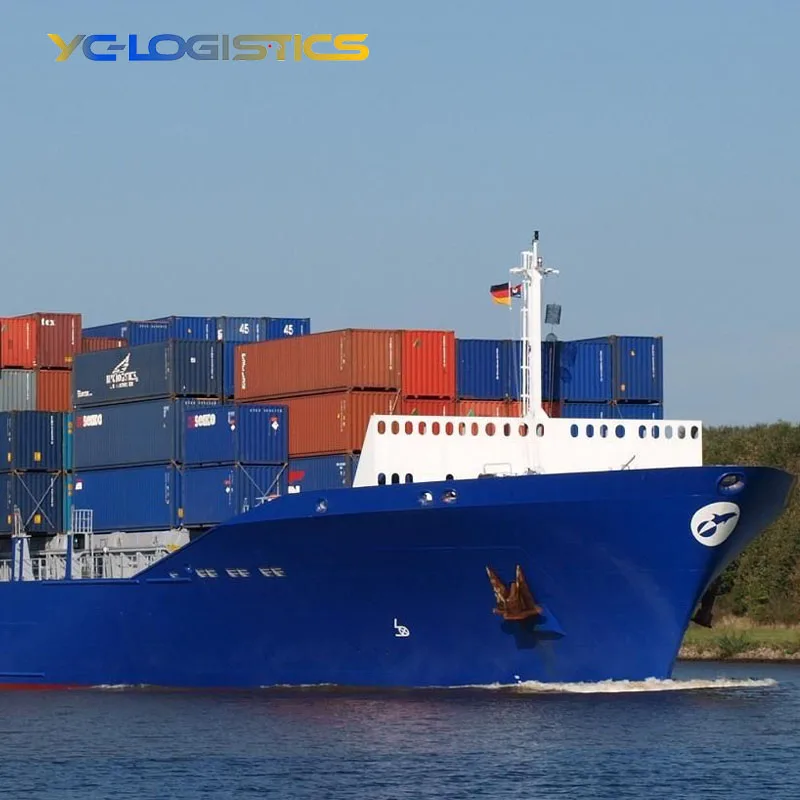 Inspection Service Professional China Shenzhen Swift International Logistics Raliway Train Shipping Agent From China to Brazil