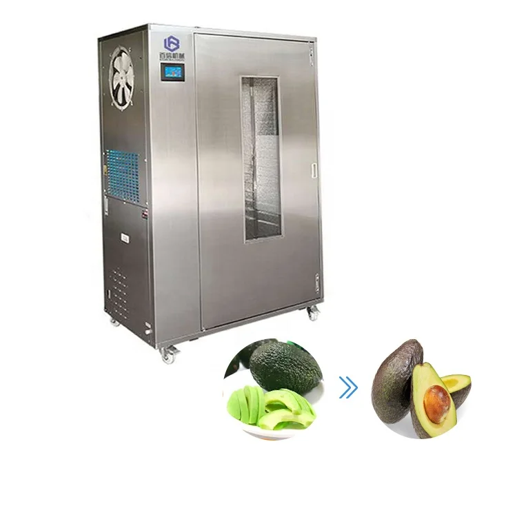 Fruit Drying Machine - Baixin