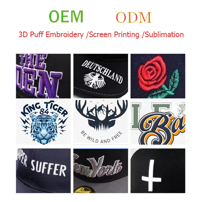 3d Puff Embroidery Mens Hats Snapback