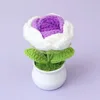 Gradient purple rose potted plants