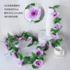 9-headed rose vine - purple