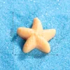 starfish