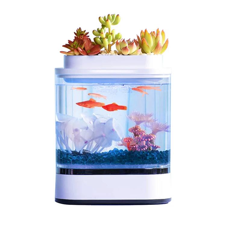 aqueon betta fish tank