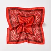 Sqscarf-016