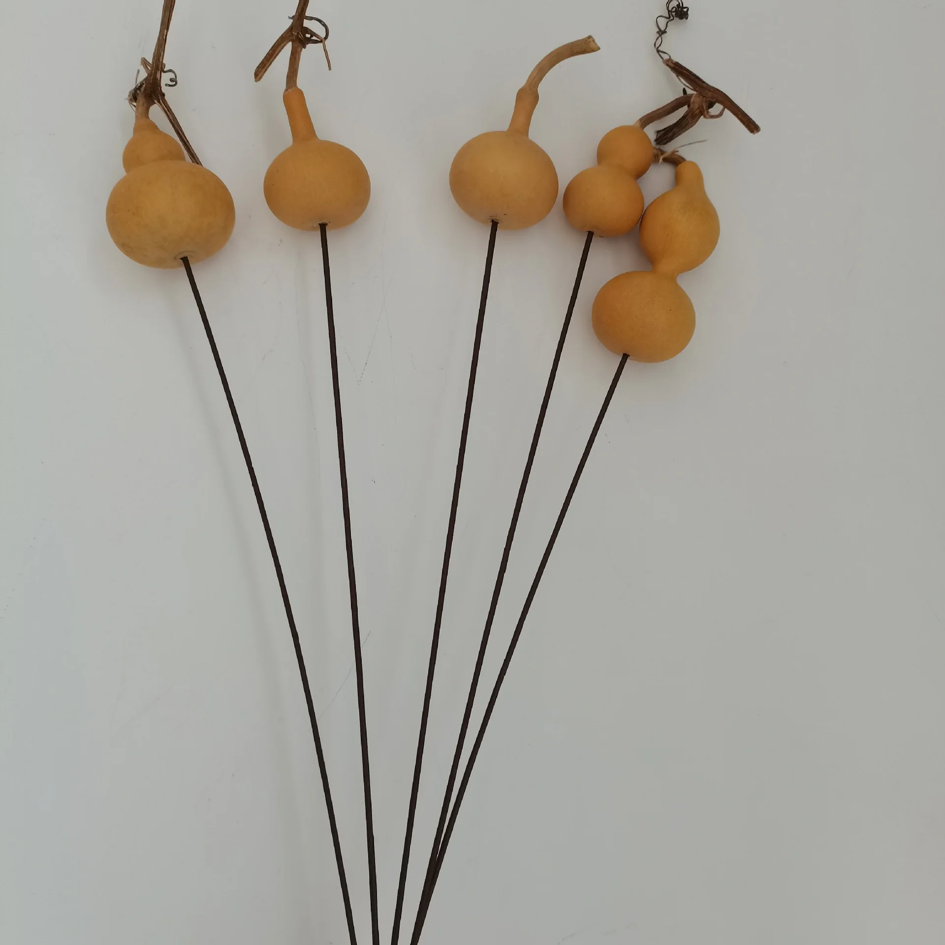 DFS51 Splicing Gourd High Quality INS Popular Natural Dried Flowers Calabash Gourd & Lagenaria Siceraria for Home Decor