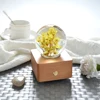 Little Chrysanthemum