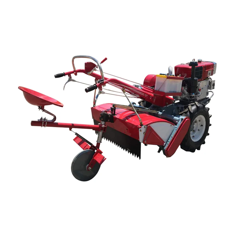 China Factory Mini Small Tractor Two Wheel Walking Tractor for Namibia