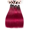 1B Burgundy