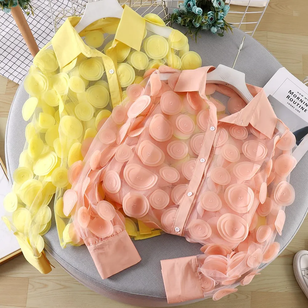 3D Flower Hollow Long Sleeve Lantern Sleeve Mesh See Through
