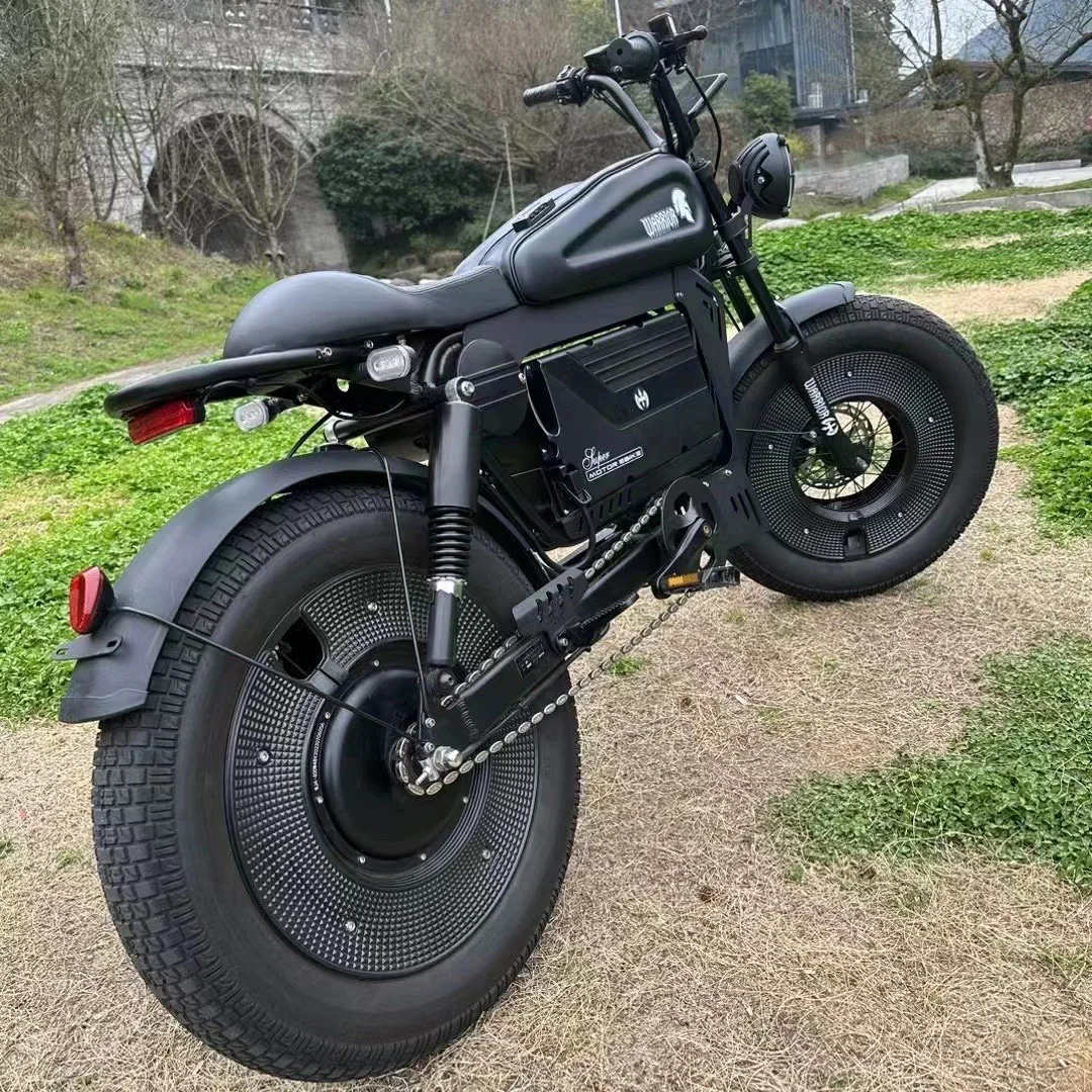 ファットバイク 電動アシスト自転車 ブラック 電動アシスト自転車 20インチx5.0 ファットタイヤ 電動自転車 1500W
