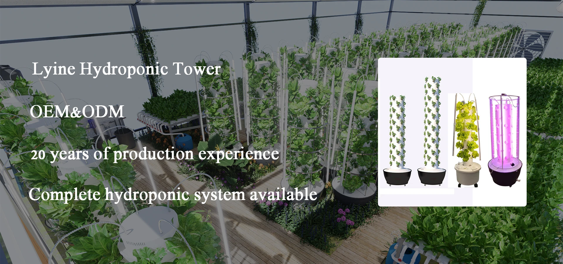 Lyine Oem Vertical Farming Tower Garden Vertical Hydroponic Growing