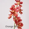 Rojo Naranja