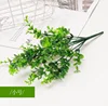 Small Eucalyptus