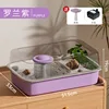 Roland Purple [Pet Hermit Crab] comes with a free fountain pump