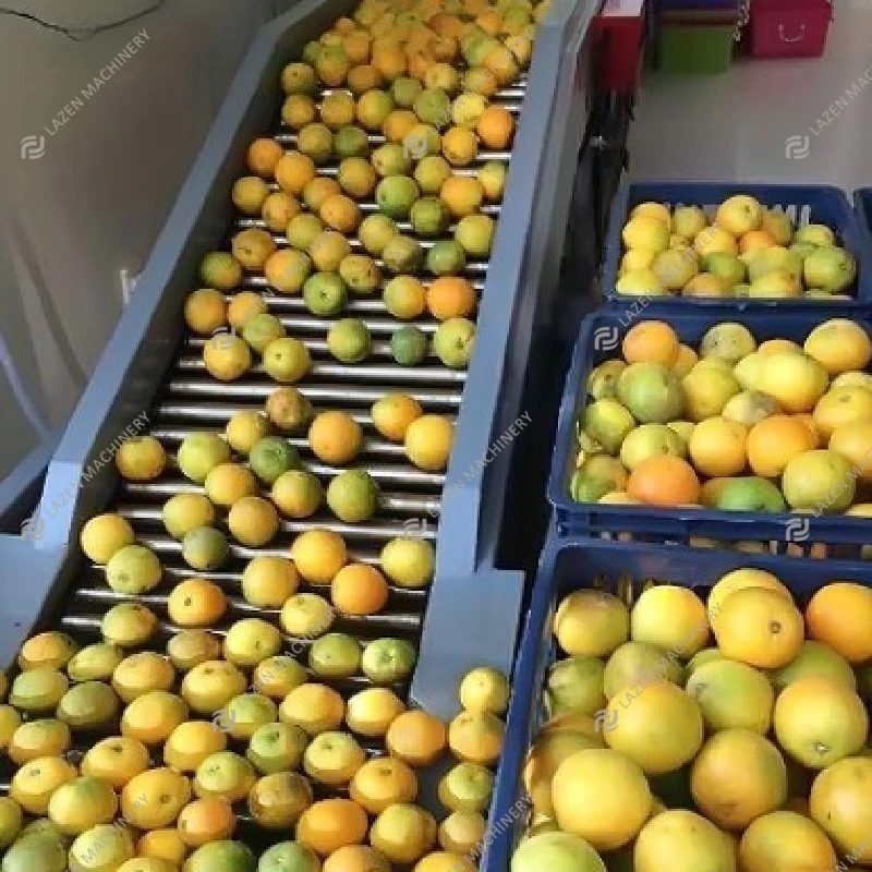 LAZEN Customized 1~25 Tons Per Hour Industrial Complete Full Automatic Citrus Juice Processing Machinery